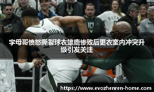 EVO真人视讯官网