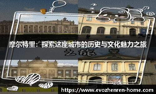 EVO真人视讯官网